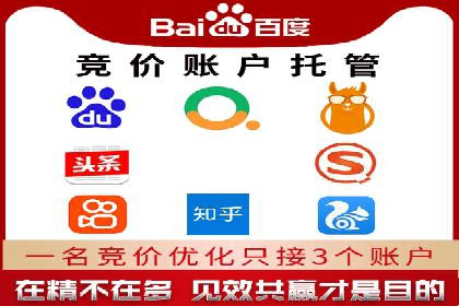 百度竞价托管公司案例：揭秘高效广告投放策略